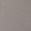 swiss-champaign-silver.jpg